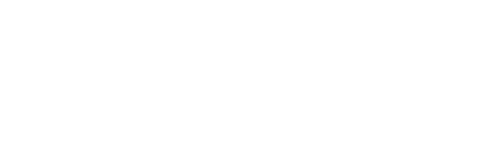 SOTA product logo